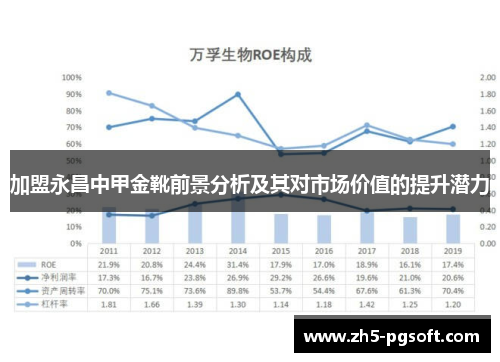 加盟永昌中甲金靴前景分析及其对市场价值的提升潜力 加盟永昌中甲金靴前景分析及其对市场价值的提升潜力